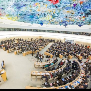 الأمم المتحدة: حقوق الإنسان لیست رفاهیة وأصبح من الواضح أن الإنسانیة لا تتجزأ