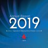  Annual-Report-2017 - Annual Report 2019