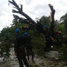   - الاحصاءات الأولیة لإعصار ماثیو فی هایتی: ملیون ونصف متضرر و350 ألف بحاجة للمساعدة
