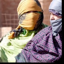  S-ZA-قانون-الإنسانی-الدولی - الأمین العام یبدی القلق إزاء وضع عشرات آلاف اللاجئین الصحراویین فی الجزائر