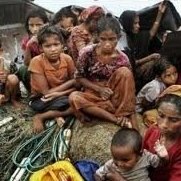 گروه های حقوق بشر خواستار موضع گیری جامعه بین المللی درباره نقض حقوق مسلمانان در میانمار شدند.