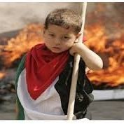 قطعنامه شورای حقوق بشر درباره جنایت جنگی اسرائیل در غزه