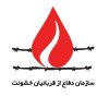  هشدار-گروه-های-حقوق-بشری-درباره-نقض-حقوق-مسلمانان-در-ازبکستان - بیانیه سازمان دفاع از قربانیان خشونت در محکومیت حمله اسراییل علیه غزه
