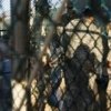  اشتباه-انسانی-یا-جنایت-جنگی - زندانیان در گوانتانامو غیرقانونی زندانی شده اند