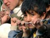  تکلیف-کودکان-اردوگاه-جنگل-مشخص-شد - افزایش هشت برابری کودکان تنهای متقاضی پناهندگی در اروپا