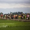  انجمن-پزشکان-آمریکا-خشونت-مسلحانه-در-این-کشور-را-بحران-خواند - 90 هزار آواره و صدها کشته حاصل دور جدید خشونت‌ها علیه روهینجاهای میانمار