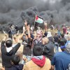  شهادت-۱۸۳-فلسطینی-در-غزه - 158 فلسطینی شهید و 17500 نفر زخمی