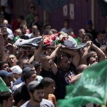 ۱۶۴۳ شهید و ۸۸۴۰ مجروح حاصل ۲۶ روز تجاوز اسرائیل به غزه - news