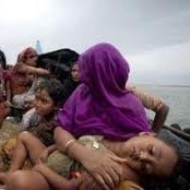   - آزار و اذیت مسلمانان در میانمار به فاجعه انسانی تبدیل شده است