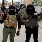 جنایت جدید تروریست‌ها: داعش 500 نفر را در الرمادی عراق اعدام کرد - جنایات داعش