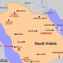 سازمان ملل عربستان را محکوم کرد - عربستان