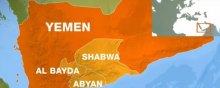  شبکه-های-شکنجه - انتقاد نهادهای حقوق بشری از نقش امارات متحده عربی و آمریکا در ایجاد شبکه‌های شکنجه در یمن