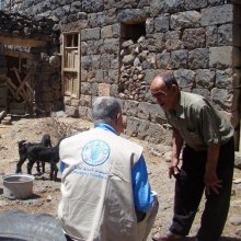  سوریه - فائو: بیش از 6 میلیون سوری همچنان از داشتن وعده غذایی بعدی مطمئن نیستند