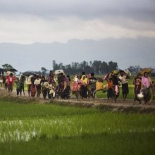  مسلمانان-روهینگیا - 90 هزار آواره و صدها کشته حاصل دور جدید خشونت‌ها علیه روهینجاهای میانمار