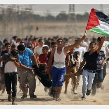 فلسطین - شهادت ۴۸۸ فلسطینی از زمان شناسایی قدس به عنوان پایتخت
