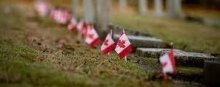  تروریسم - نقض موارد حقوق بشر کانادا در گزارش سالانه دیده‌بان حقوق بشر