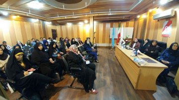 A Meeting on Techniques of Preventing and Responding to Violence Against Women