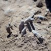  ���Staggering���-civilian-death-toll-in-Iraq - Mass Grave of Children Who Rejected Islamic State Found in Sinjar, Iraq