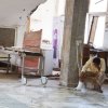  Saudi-led-coalition-responsible-for-worst-cholera-outbreak-in-the-world-in-Yemen-researchers - Yemen's health system another victim of the conflict – UN health agency