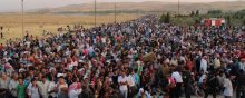   - Elites Want More Refugees: Why?