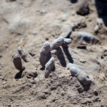 Mass Grave of Children Who Rejected Islamic State Found in Sinjar, Iraq - children