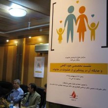  International-Day-of-Families - Technical Sitting on Prevention of Violence in the Family Held on the Occasion of the International Day of Families