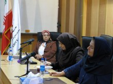 A Meeting on Techniques of Preventing and Responding to Violence Against Women - 11