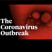  Coronavirus - The ODVV’s letter to the United Nations High Commissioner for Human Rights