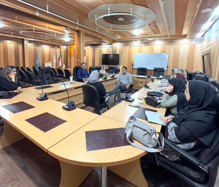 Implementation of the Project: “Organizational Capacity Building and Empowerment of Specialists Supporting Refugees’ Mental Health”